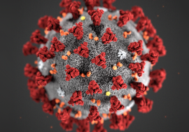 Koronavirus - Hva gjør vi i denne situasjonen?