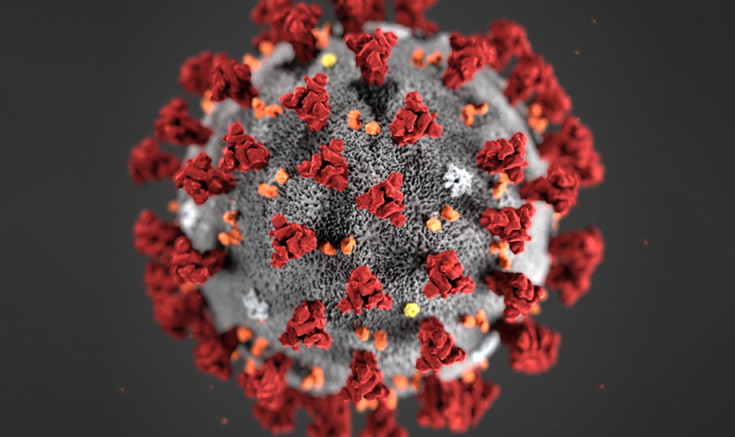 Koronavirus - Hva gjør vi i denne situasjonen?